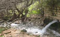 טיולי מים קרירים לימי הקיץ