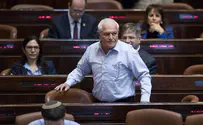 ממשלת הפרטים הקטנים            