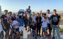 המורה על הסוס הלבן       