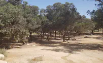 הדרך המקראית בהר הנגב          