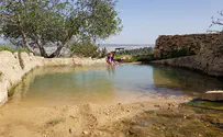 הכול פתוח: קיץ בגוש עציון      