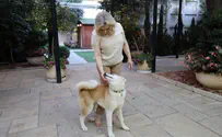 שרה נתניהו בסרטון: שיימינג הורג