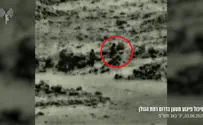 IDF thwarts infiltration attempt along Syrian border