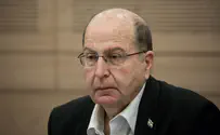 Мы – в эпицентре новой волны индивидуального террора