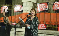 "הממשלה גונבת לנו את ההצגה"