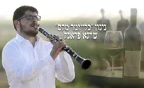 עטיפת הסינגל שרגא פראנק מגיש: ניגון "כלייזמר מקס"