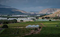 Live: Together for the Jordan Valley