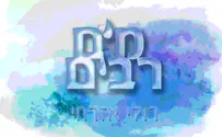 רולי אזרחי חוזר לשיר! "מים רבים"