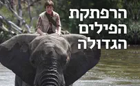 TOV לכל המשפחה: המלצת השבוע - פילים