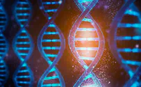 Could new Israeli software help correct genetic defects?