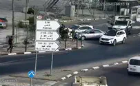 "הטרוריסטים מריחים חולשה"