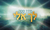 מידד טסה מחדש את הפיוט: לך אלי
