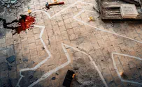 Two refugees arrested for brutal rape in Vienna