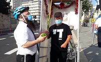 נטילת לולב מבלפור ועד מחלקת הקורונה