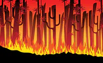 Thousands of Israelis flee their homes, arson fires suspected