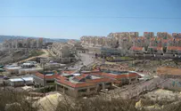 הניצחון של תל ציון