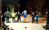 בובות הענק של תנועת הנוער אריאל