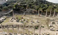 תיעוד מיוחד: לעוף על סבסטיה