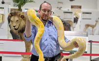 אחרי הסגר: נפתח מוזיאון הטבע התנכי