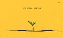 השיר החדש של אברהם פריד ואביב גפן