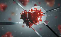 Over 1000 new coronavirus cases in a single day