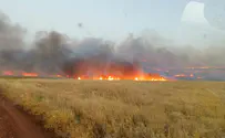 Agricultural terrorism continues to threaten Zionism in 2021