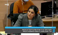 מה אמר גפני ליועמ"שית בפגישתם?