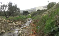 מסע בעקבות השפכים ביהודה ושומרון