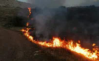 No place for guilt over Israel's self-defense