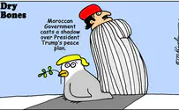 Morocco's government casts a shadow over Trump's peace plan