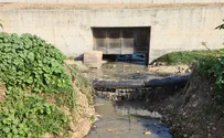 שפכים מקלקיליה זורמים לנחל הירקון