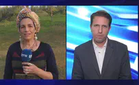 התאום היהודי שלכם          