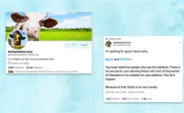 ‘Blood is on your hands’: Antisemitism Cow rails at Twitter