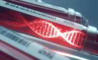 Mutations