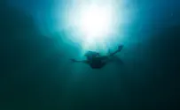 Man sets new Guinness World Record for longest free dive