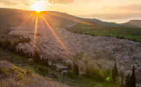 Rosh Hodesh Shevat Torah essay