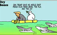 Trump's Middle East solution will sink into oblivion