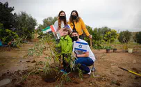 משפחת כהן מדובאי: החיים כאן משגשגים