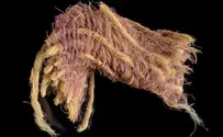 Historic discovery provides glimpse into wardrobe of King David