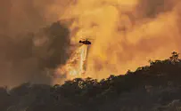 Watch: 42 dead as wildfires engulf Algeria
