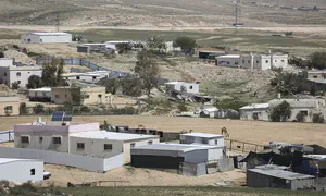 Balad candidate: Negev is 60% of 'historic Palestine'