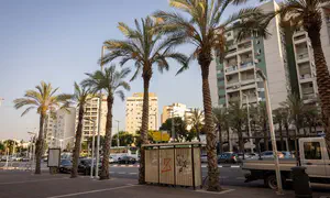 Haredi woman fights off two thieves