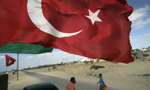 Том Барк поддерживает ввод турецких сил в Газу