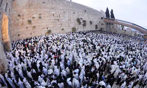 Sukkot together