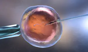 Health Ministry warns: Cancer risk from sperm donor mutation