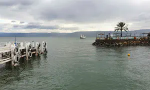 Boy dies after contracting ‘brain-eating’ amoeba