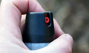 Перцовый газ против еврея обошелся арабу в 125 тысяч шекелей