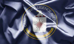 Ex-CIA analyst gets 37 months for leaking top secret intel online