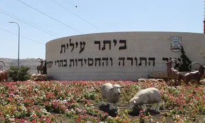 7 PA Arabs arrested for assault on Israeli near Beitar Illit