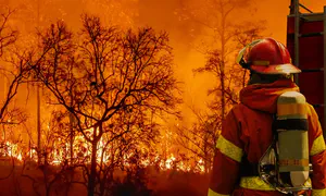 British Columbia declares state of emergency as wildfires spread